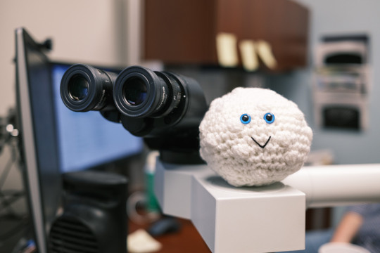 Knitted white blood cell by a microscope