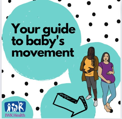 Cover image/thumbnail of Your Guide To baby's movements infographic
