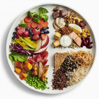 Canada's Food Guide- visual plate method