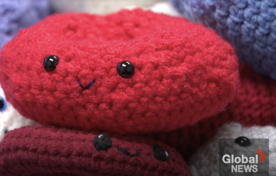 A smiling knitted red blood cell.