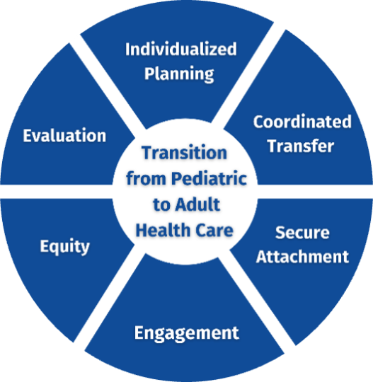 A circle logo with the 6 components of the Transition Framework
