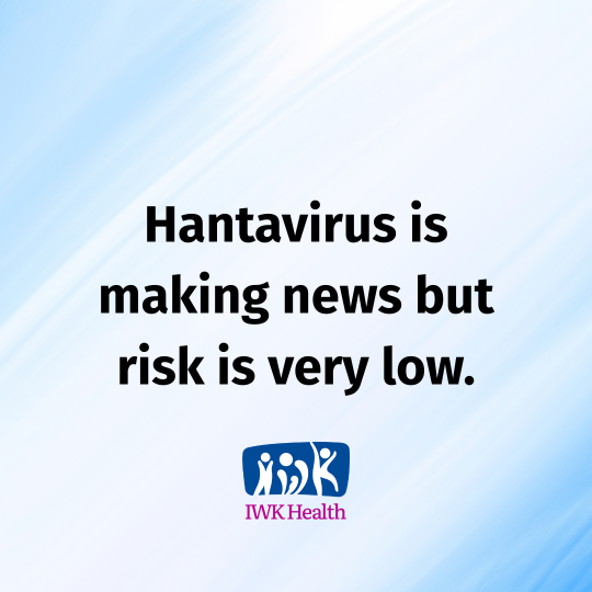 Hantavirus is making news but the risk is very low.