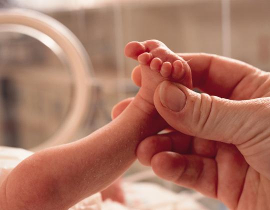 Mother's hand holds preemie baby's foot
