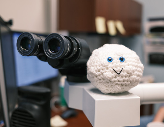 Knitted white blood cell by a microscope