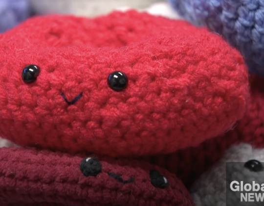 A smiling knitted red blood cell.