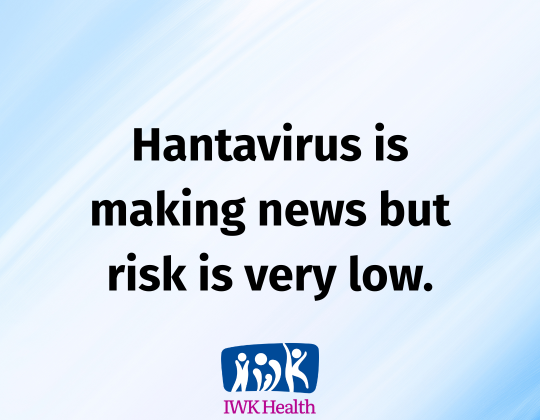 Hantavirus is making news but the risk is very low.